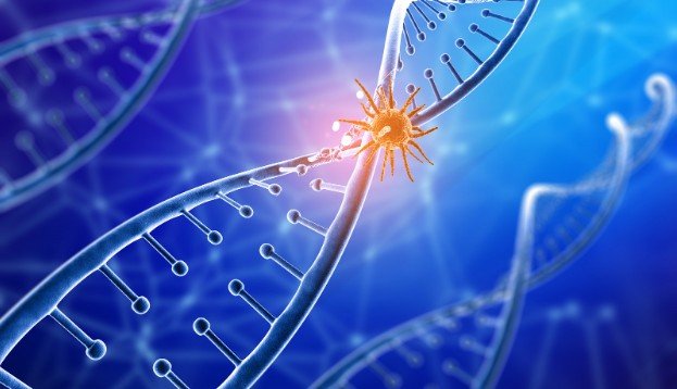 Are There Any Common Misunderstandings About This Topic