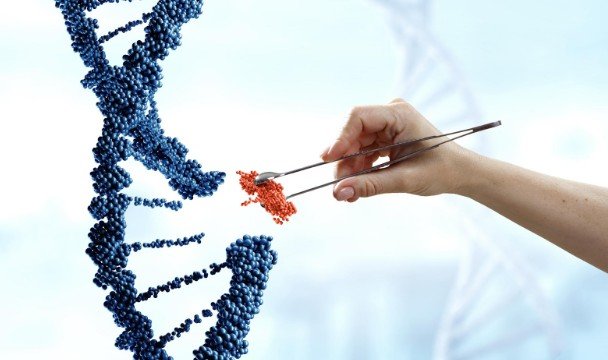 How To Understand Mutation Effects Without Feeling Overwhelmed