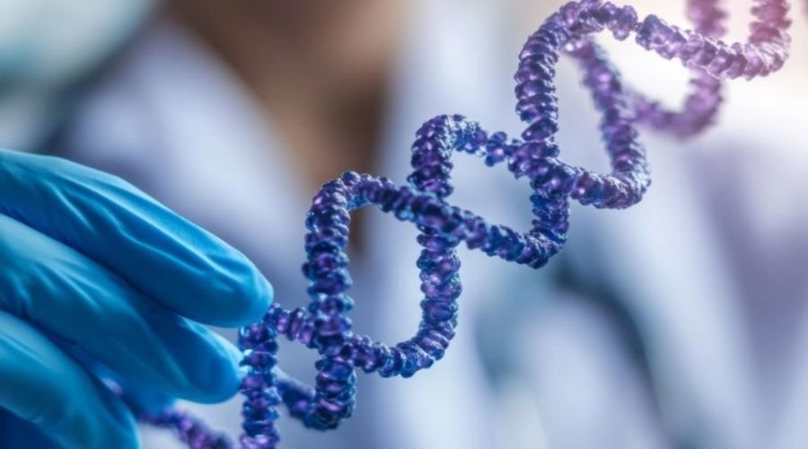 Rare Genetic Disorders Explained - Simple Guide for Families