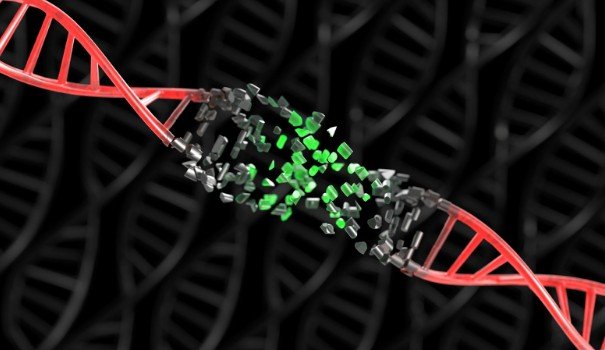 Why Are Some Mutations Harmless While Others Cause Problems